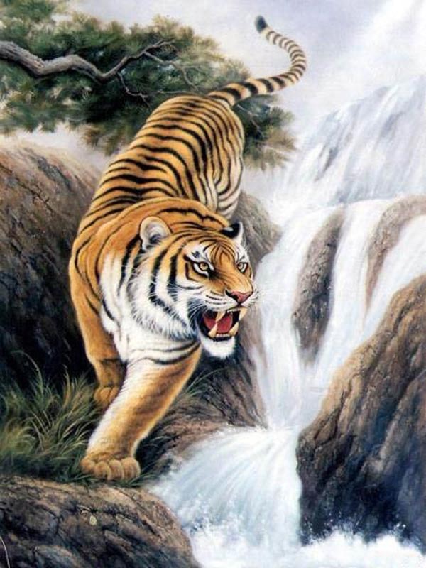 Bitte laden Sie das Tiger-Hintergrundbild für Ihr Handy herunter, ein wunderschönes und cooles 3D-Thanh-Hoa-Berufsgymnasium, Handel und Tourismus