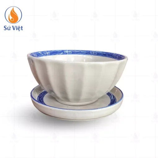 Tô Phở Màu Trắng Cổ Họa Tiết Viền Xanh