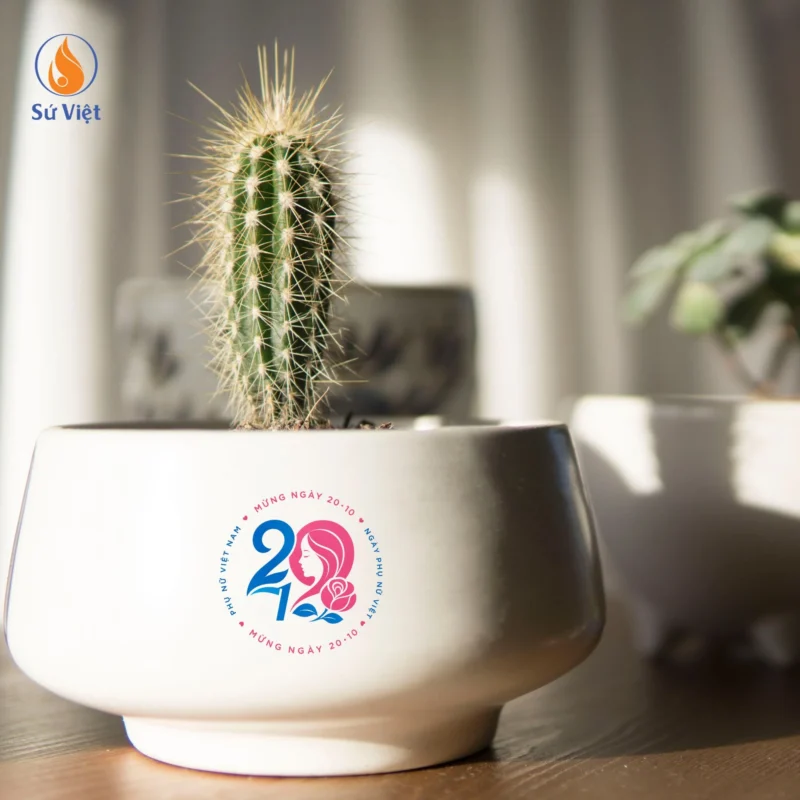 Chậu cây mini In Logo Quà Tặng Ngày 20/10